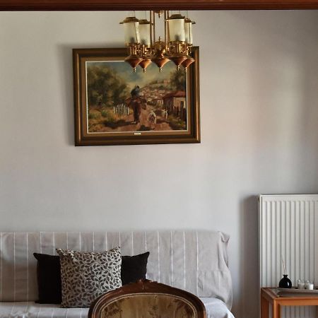 Κεντρικό Και Ευρύχωρο Οροφοδιαμέρισμα Kastoria Luaran gambar