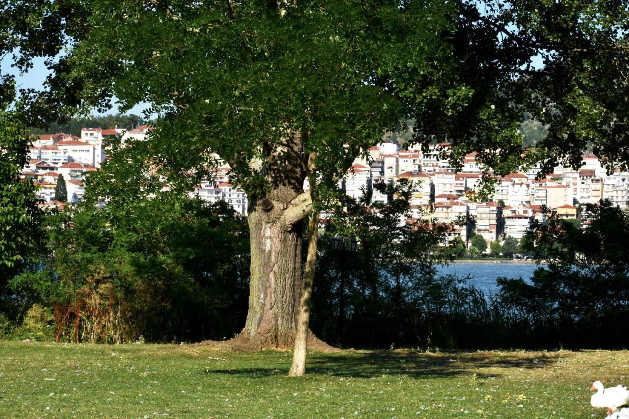 Κεντρικό Και Ευρύχωρο Οροφοδιαμέρισμα Kastoria Luaran gambar